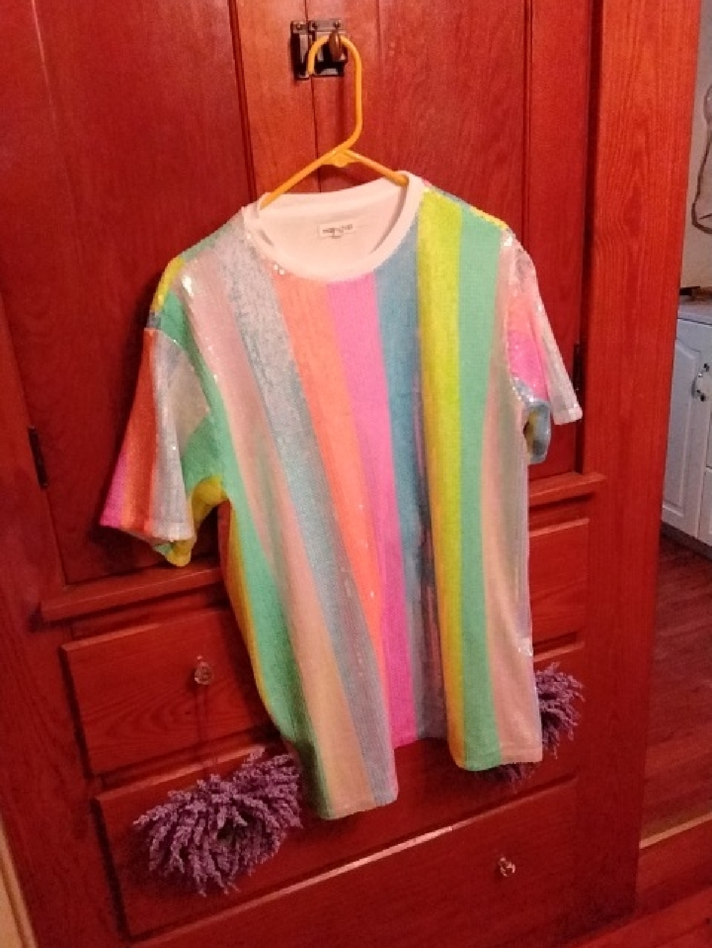 Rainbow Sequin Stripe T-Shirt - Multicolor